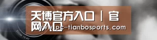 公司动态