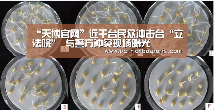 天博官网