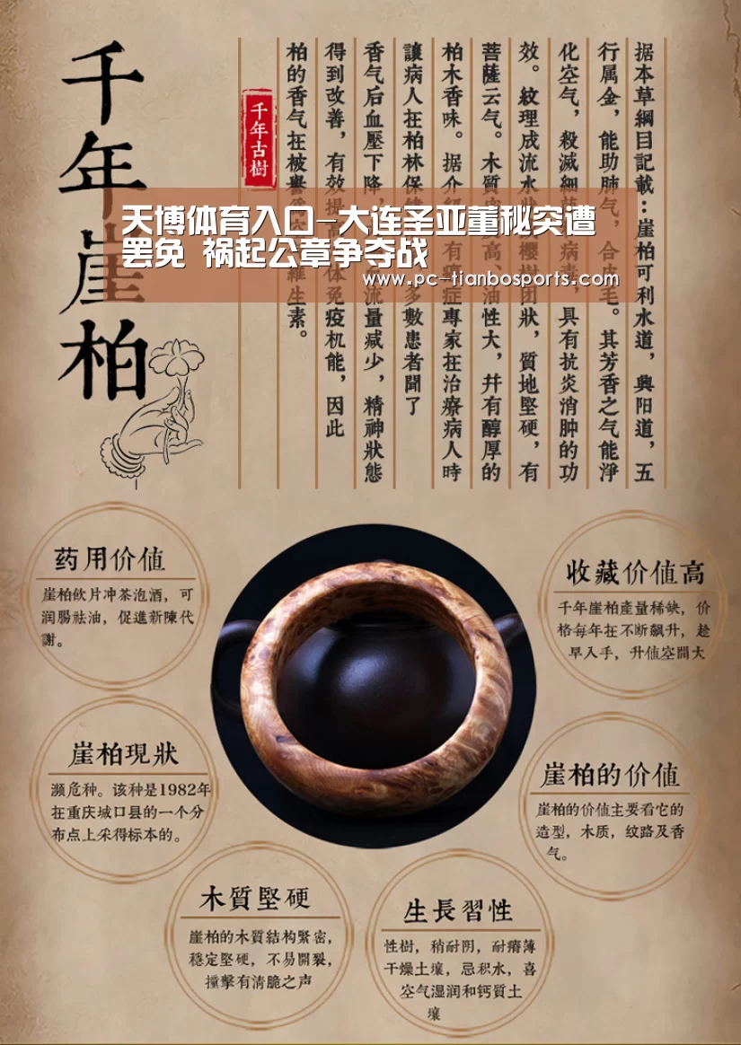 天博体育入口