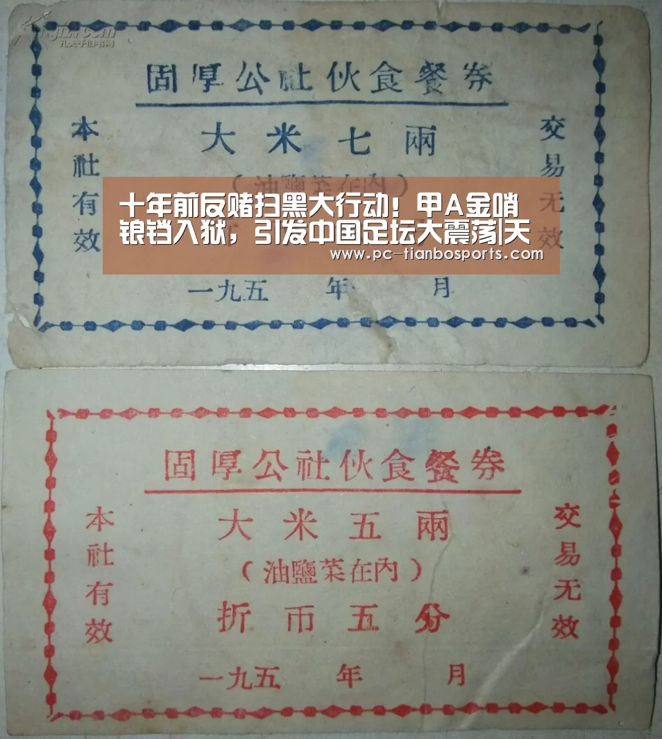 天博体育手机版