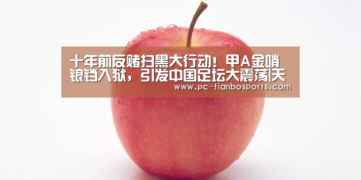 天博体育入口