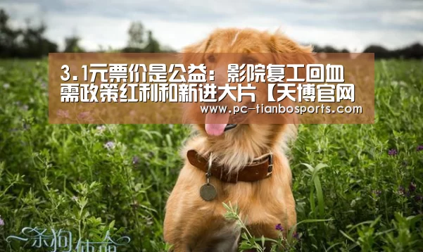 天博体育手机版
