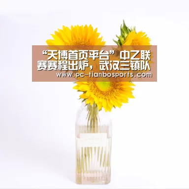 “天博首页平台”中乙联赛赛程出炉,武汉三镇队24日亮相揭幕战(图4) 天博体育入口