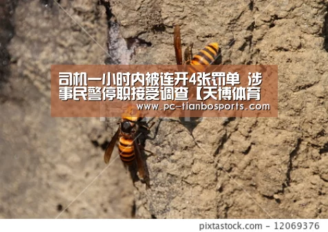 司机一小时内被连开4张罚单 涉事民警停职接受调查【天博体育手机版】(图1) 天博首页平台