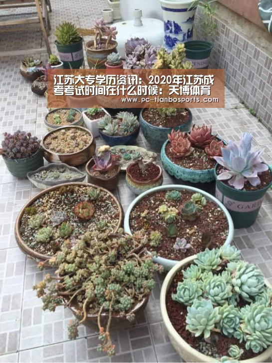 江苏大专学历资讯:2020年江苏成考考试时间在什么时候:天博体育入口(图2) 天博体育入口