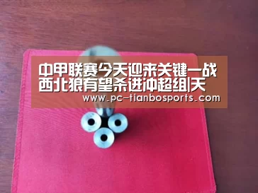 中甲联赛今天迎来关键一战西北狼有望杀进冲超组|天博体育入口(图4) 天博体育手机版
