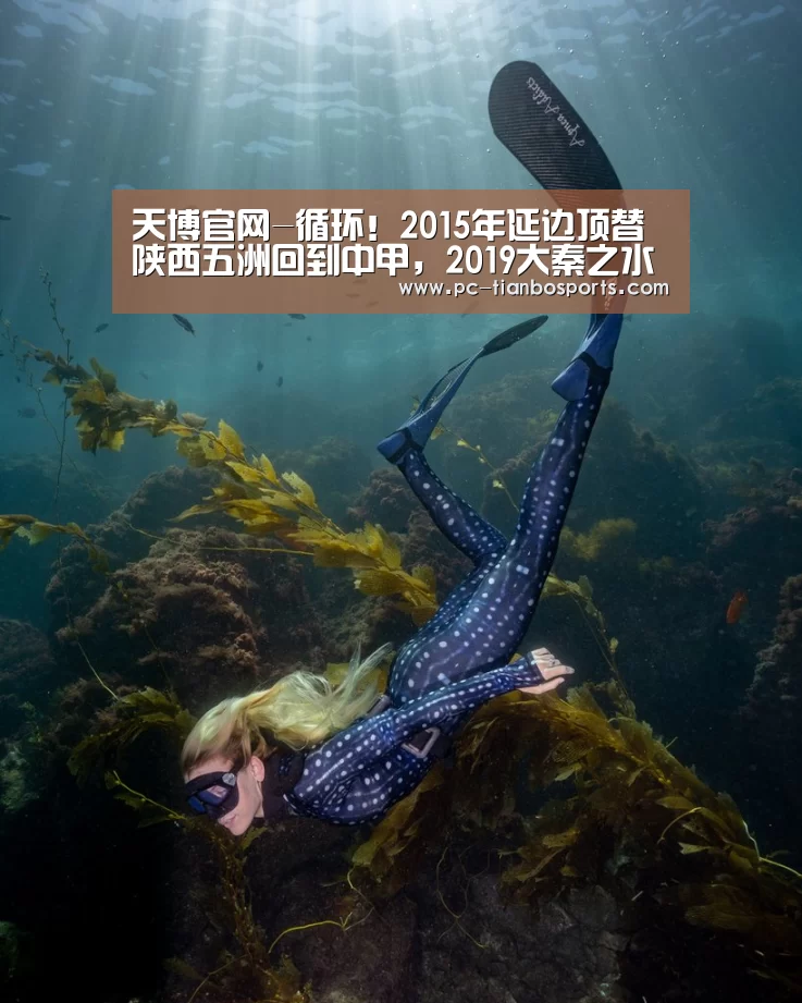 天博官网-循环!2015年延边顶替陕西五洲回到中甲,2019大秦之水顶替延边(图2) 天博官网